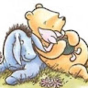 Meet your Posher, The